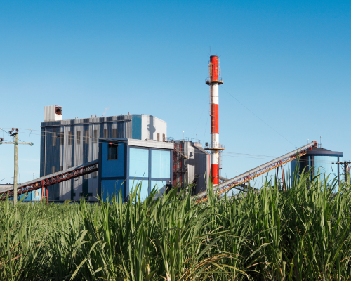 planta de proceso de azucar
